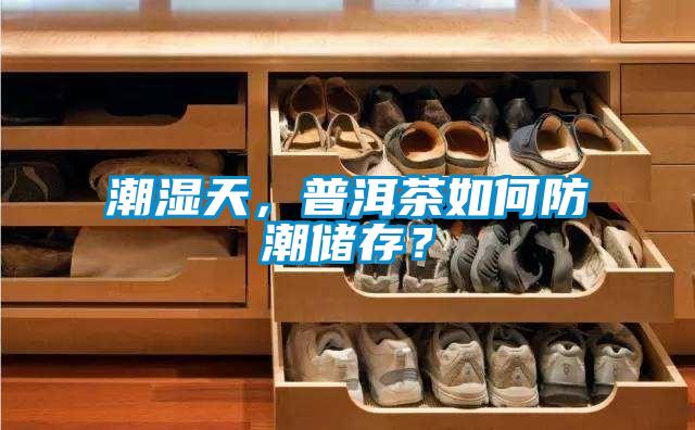 潮湿天，普洱茶如何防潮储存？