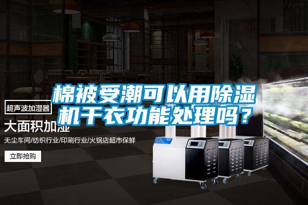 棉被受潮可以用茄子视频懂你更多在线观看干衣功能处理吗？