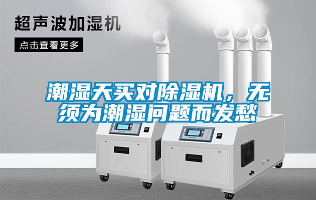 潮湿天买对茄子视频懂你更多在线观看，无须为潮湿问题而发愁