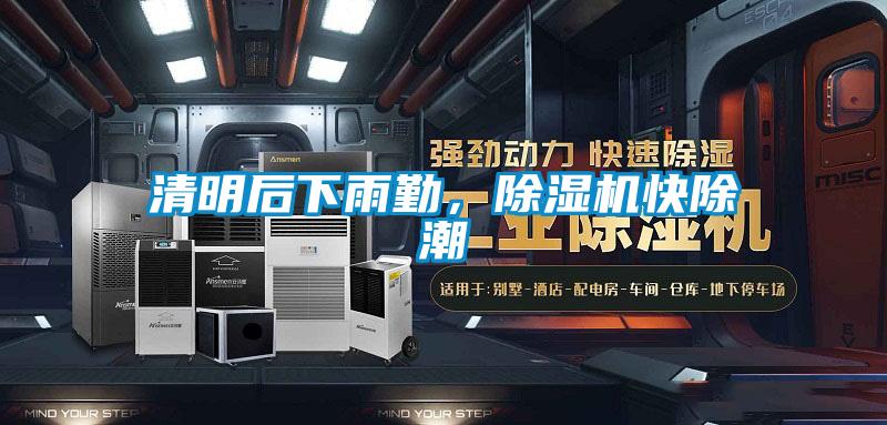 清明后下雨勤，茄子视频懂你更多在线观看快除潮