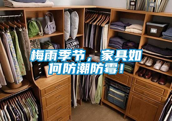 梅雨季节，家具如何防潮防霉！