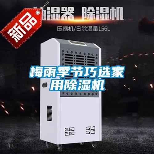 梅雨季节巧选家用茄子视频懂你更多在线观看