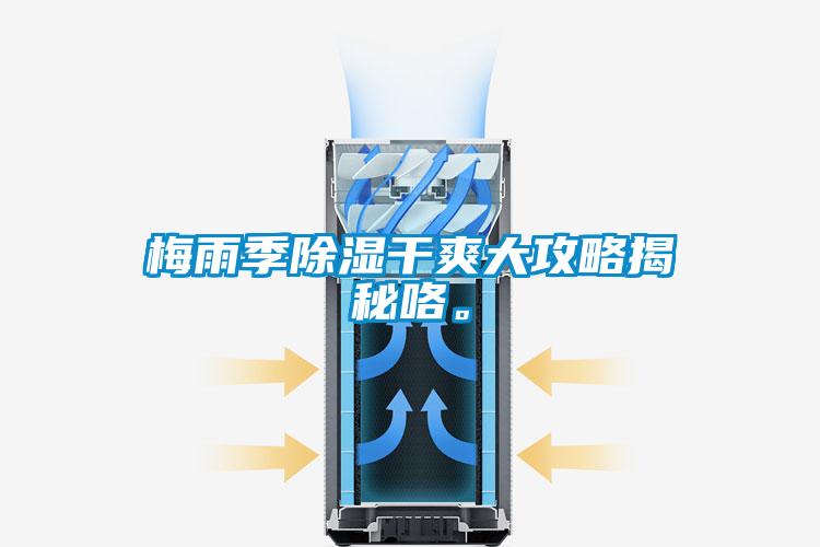 梅雨季除湿干爽大攻略揭秘咯。