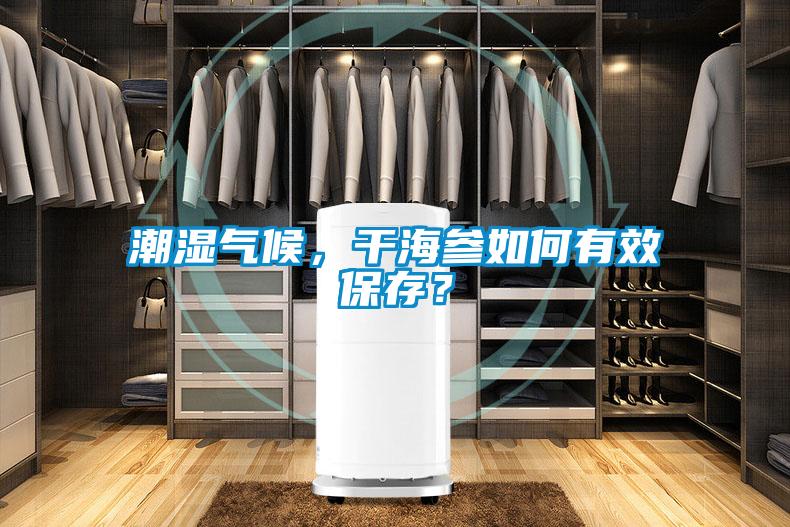 潮湿气候，干海参如何有效保存？