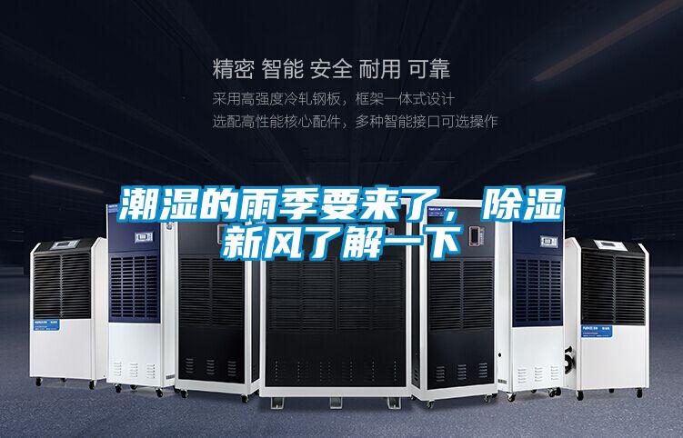潮湿的雨季要来了，除湿新风了解一下