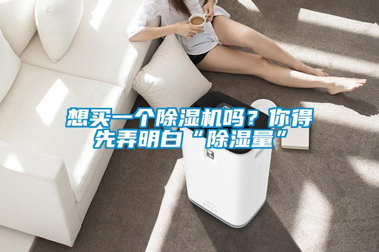 想买一个茄子视频懂你更多在线观看吗？你得先弄明白“除湿量”