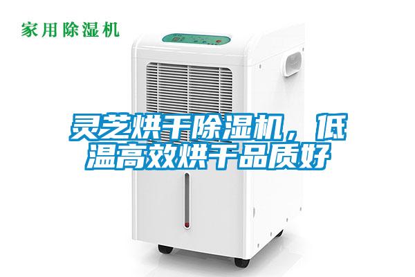 灵芝烘干茄子视频懂你更多在线观看，低温高效烘干品质好