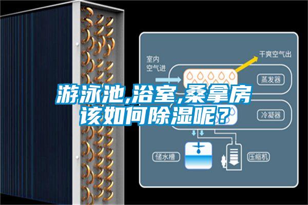 游泳池,浴室,桑拿房该如何除湿呢？
