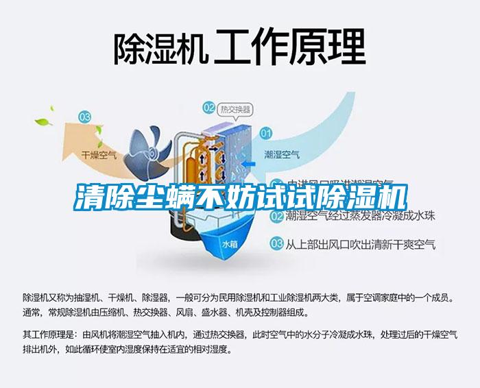 清除尘螨不妨试试茄子视频懂你更多在线观看