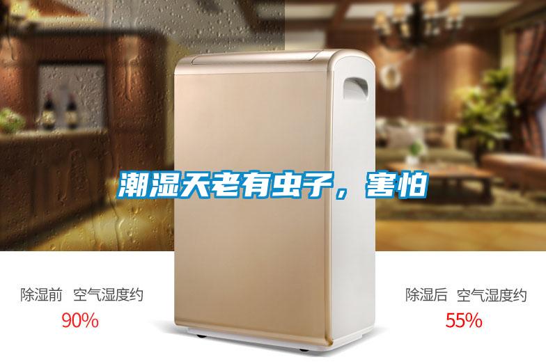 潮湿天老有虫子，害怕