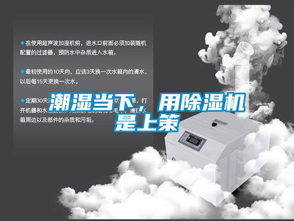 潮湿当下，用茄子视频懂你更多在线观看是上策