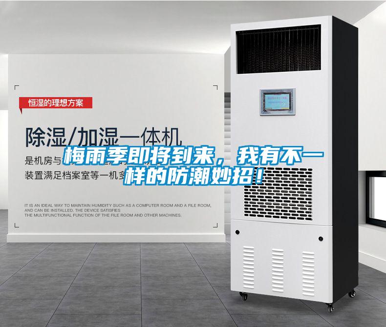 梅雨季即将到来，我有不一样的防潮妙招！