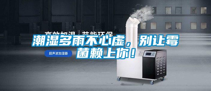 潮湿多雨不心虚，别让霉菌赖上你！