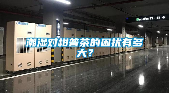 潮湿对柑普茶的困扰有多大？