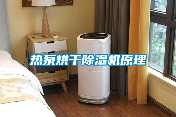 热泵烘干茄子视频懂你更多在线观看原理