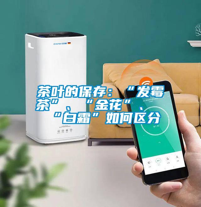 茶叶的保存：“发霉茶”、“金花”、“白霜”如何区分