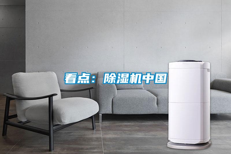 看点：茄子视频懂你更多在线观看中国