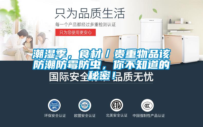 潮湿季，食材／贵重物品该防潮防霉防虫，你不知道的秘密！