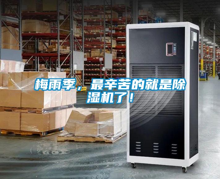 梅雨季，最辛苦的就是茄子视频懂你更多在线观看了！