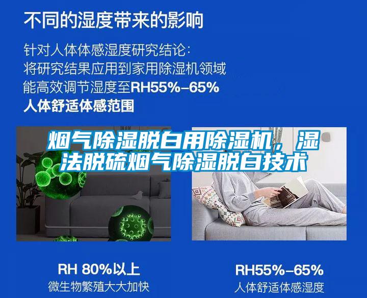 烟气除湿脱白用茄子视频懂你更多在线观看，湿法脱硫烟气除湿脱白技术
