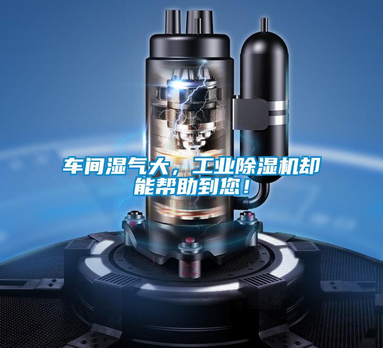 车间湿气大，工业茄子视频懂你更多在线观看却能帮助到您！