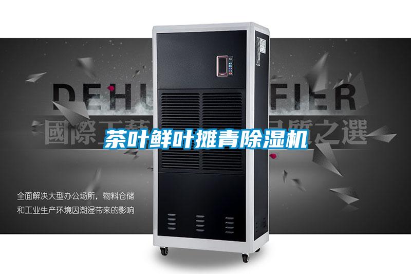 茶叶鲜叶摊青茄子视频懂你更多在线观看