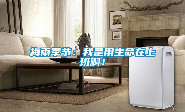 梅雨季节：我是用生命在上班啊！