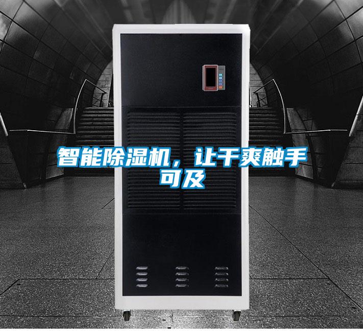 智能茄子视频懂你更多在线观看，让干爽触手可及