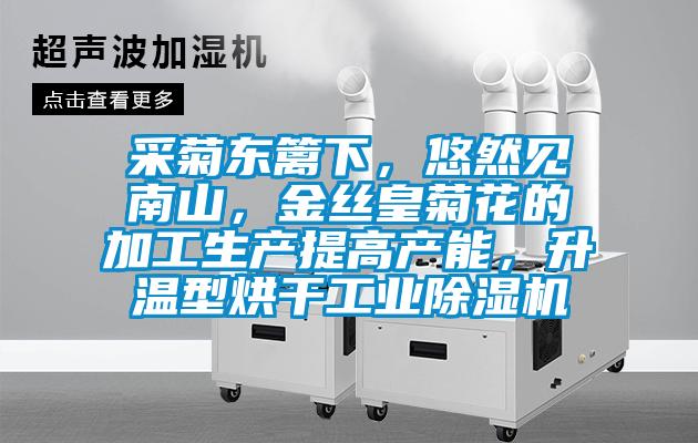 采菊东篱下，悠然见南山，金丝皇菊花的加工生产提高产能，升温型烘干工业茄子视频懂你更多在线观看