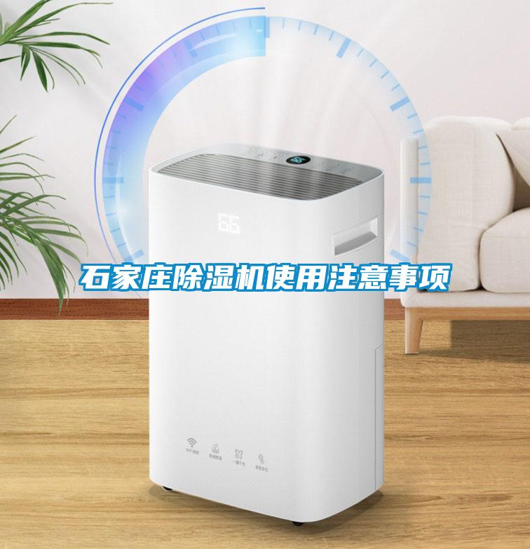 石家庄茄子视频懂你更多在线观看使用注意事项