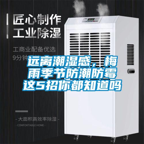 远离潮湿感，梅雨季节防潮防霉这5招你都知道吗