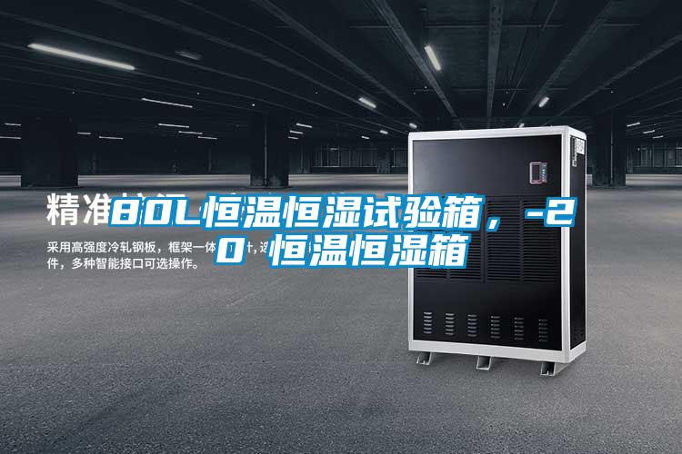 80L恒温恒湿试验箱，-20℃恒温恒湿箱