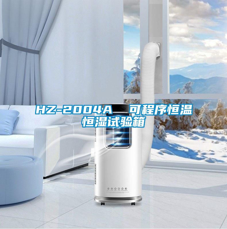 HZ-2004A 可程序恒温恒湿试验箱