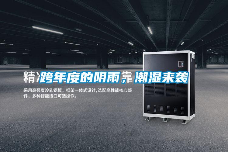 跨年度的阴雨，潮湿来袭