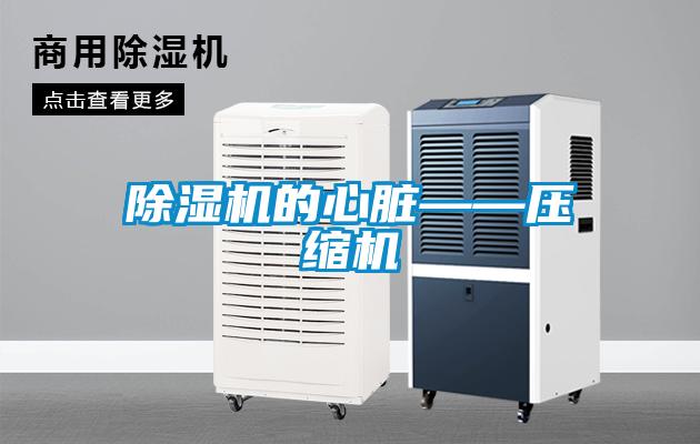 茄子视频懂你更多在线观看的心脏——压缩机