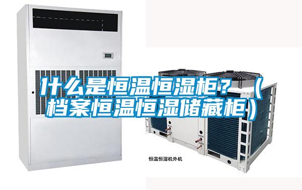 什么是恒温恒湿柜？（档案恒温恒湿储藏柜）