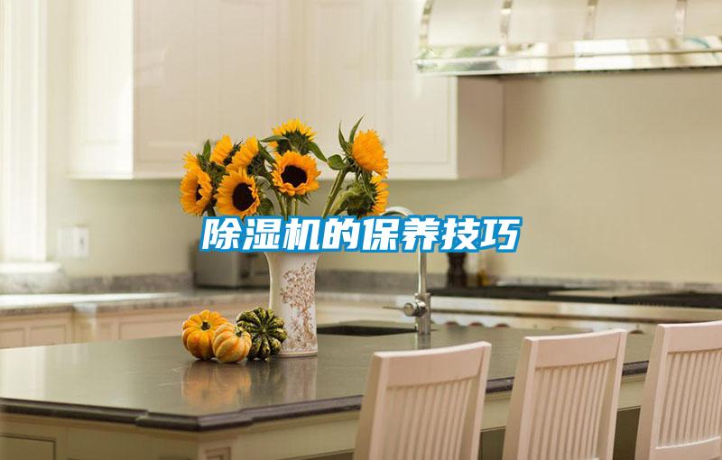 茄子视频懂你更多在线观看的保养技巧