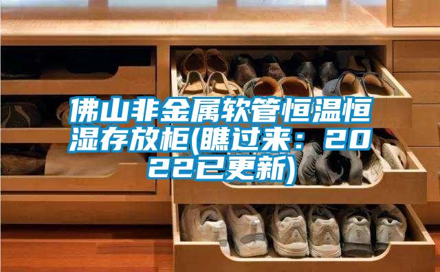 佛山非金属软管恒温恒湿存放柜(瞧过来：2022已更新)