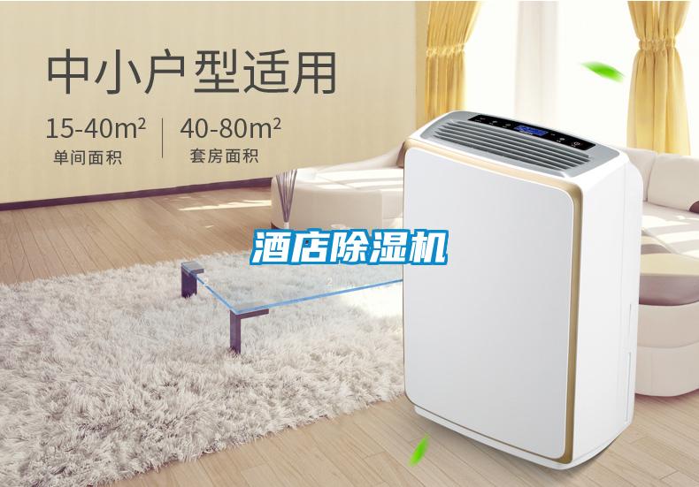 酒店茄子视频懂你更多在线观看