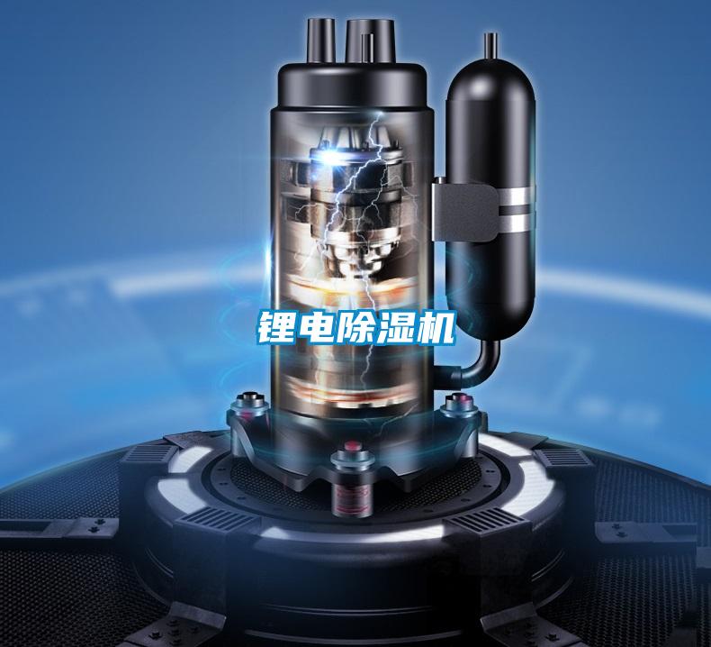 锂电茄子视频懂你更多在线观看