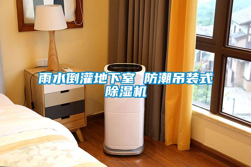 雨水倒灌地下室 防潮吊装式茄子视频懂你更多在线观看