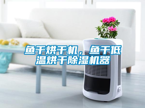 鱼干烘干机，鱼干低温烘干茄子视频懂你更多在线观看器