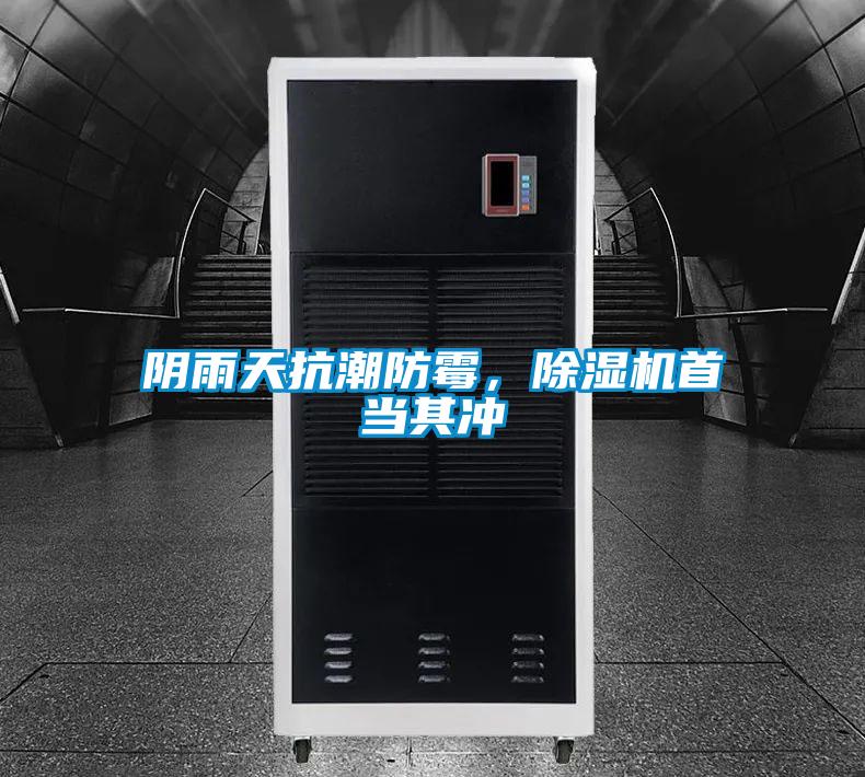 阴雨天抗潮防霉，茄子视频懂你更多在线观看首当其冲