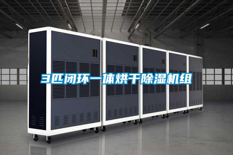 3匹闭环一体烘干茄子视频懂你更多在线观看组