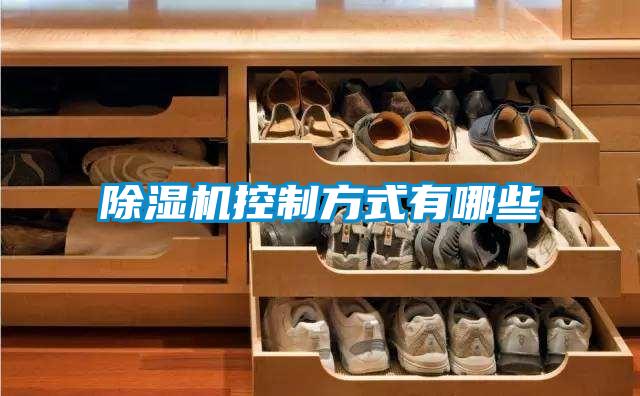 茄子视频懂你更多在线观看控制方式有哪些