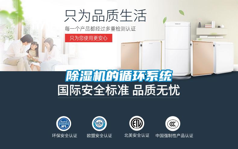 茄子视频懂你更多在线观看的循环系统