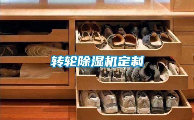 转轮茄子视频懂你更多在线观看定制