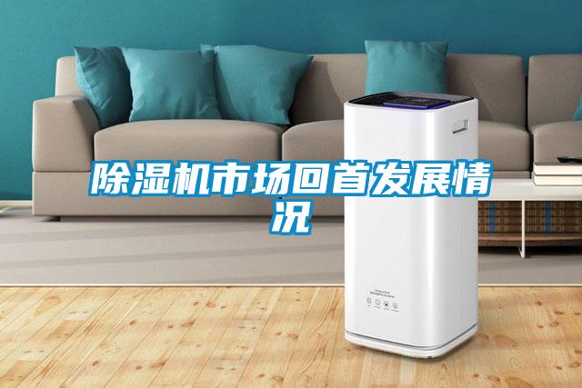 茄子视频懂你更多在线观看市场回首发展情况