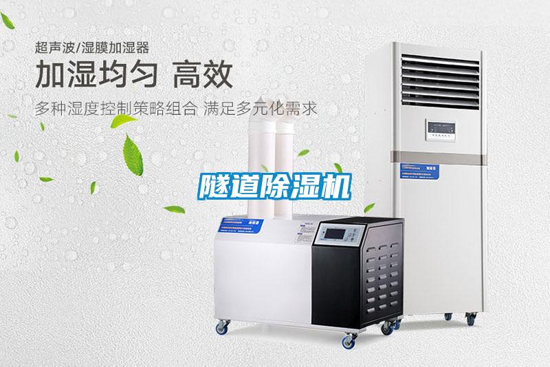 隧道茄子视频懂你更多在线观看