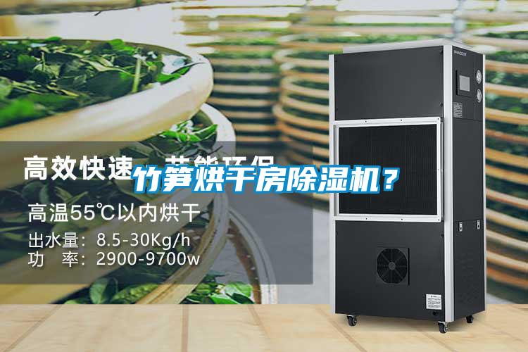 竹笋烘干房茄子视频懂你更多在线观看？